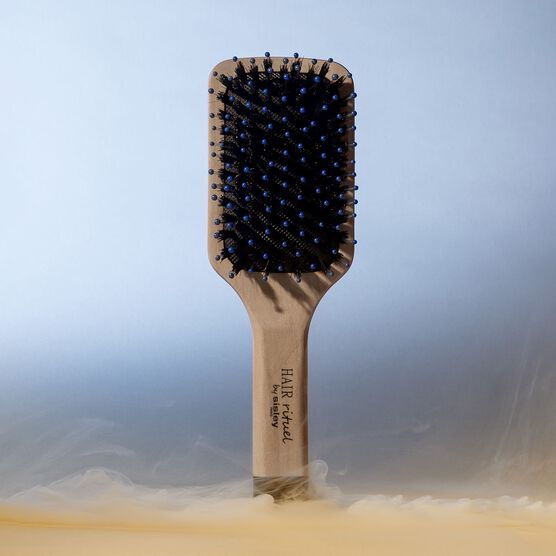 Mini Escova de Cabelo Sisley Hair Rituel The Pocket Brush Radiance & Softness